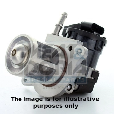 EGR Valve